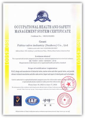 ISO45001职业健康安全管理体系_EN